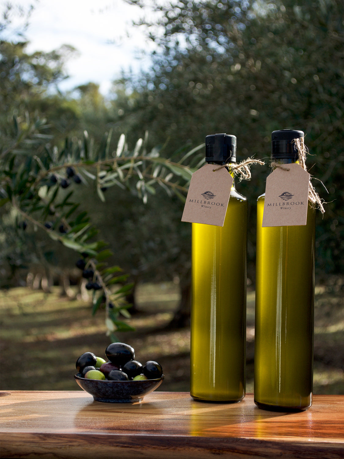 Millbrook Extra Virgin Olive Oil now on sale Millbrook Winery