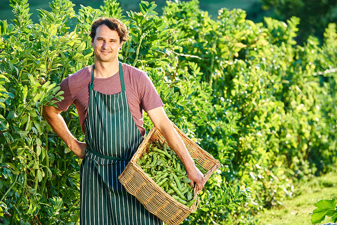 Millbrook named in top 500 restaurants in Australia