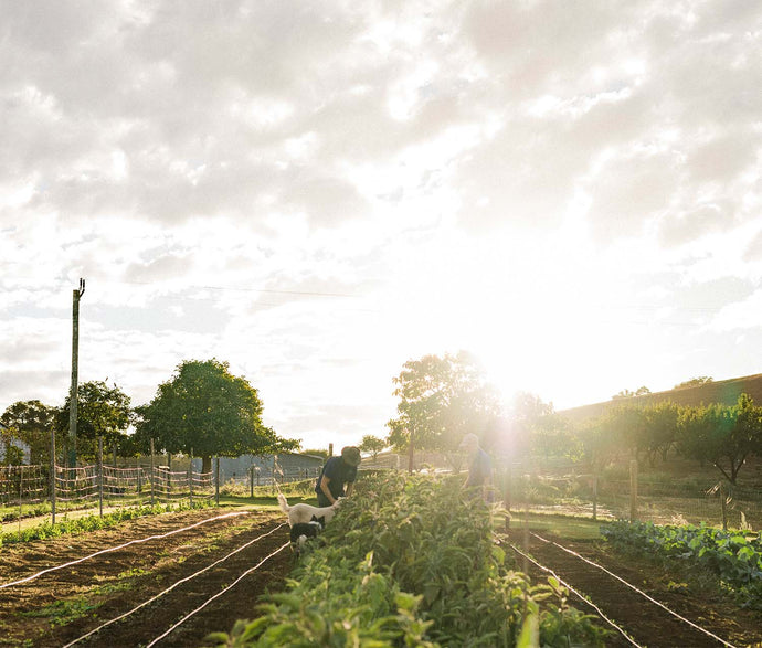 Millbrook’s No Waste Monday Listed in Broadsheet’s Favourite Dishes of 2021