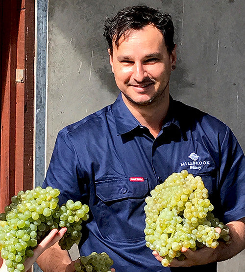 Volumes of Vermentino